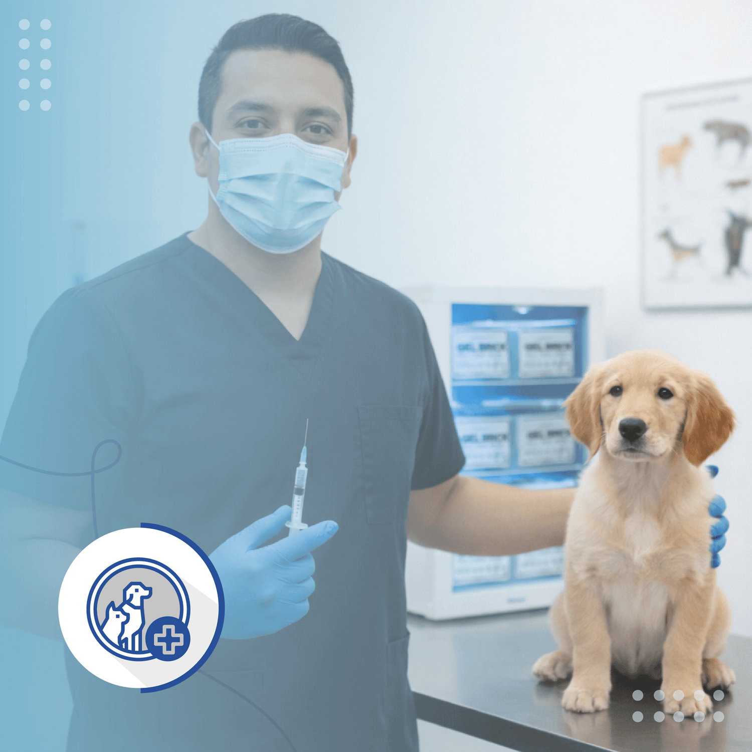 Industria Veterinaria Cadena de frio