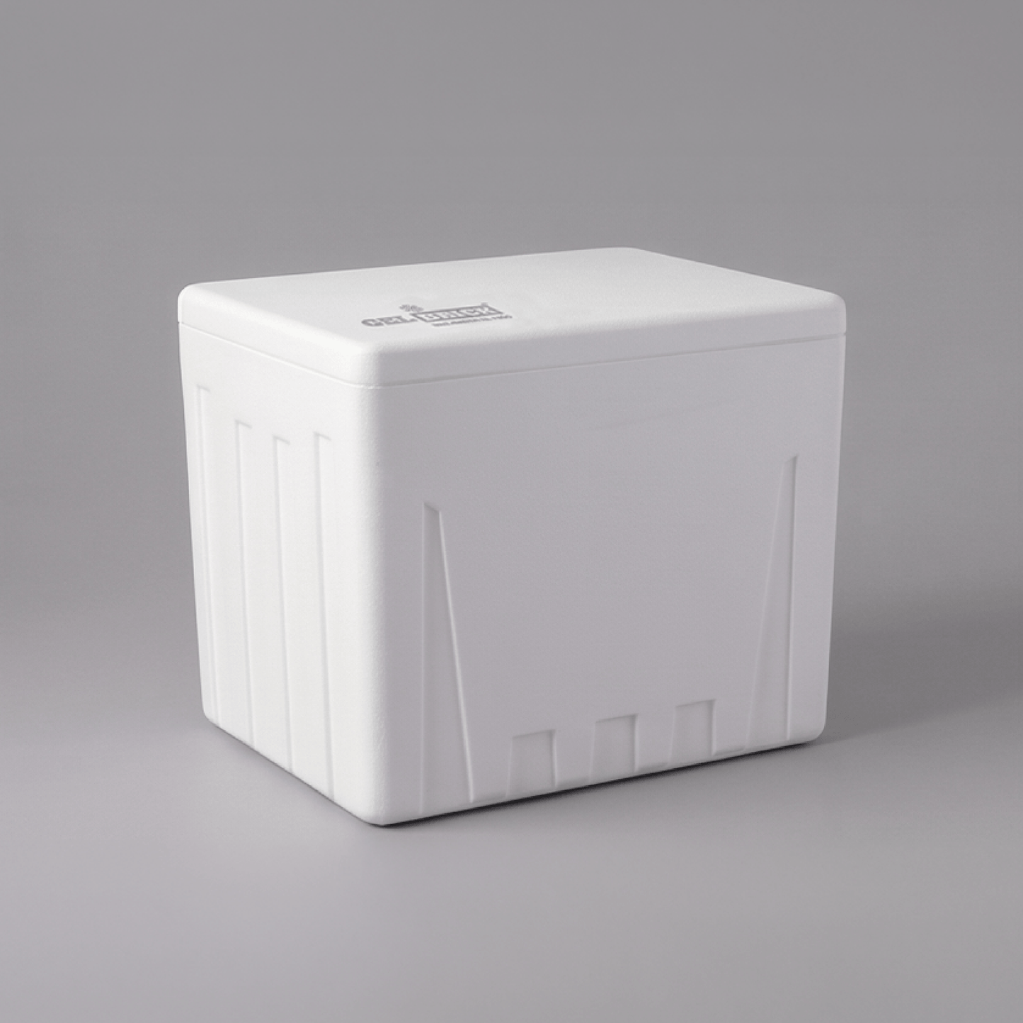 Caja térmica hielera Gelbrick 30L