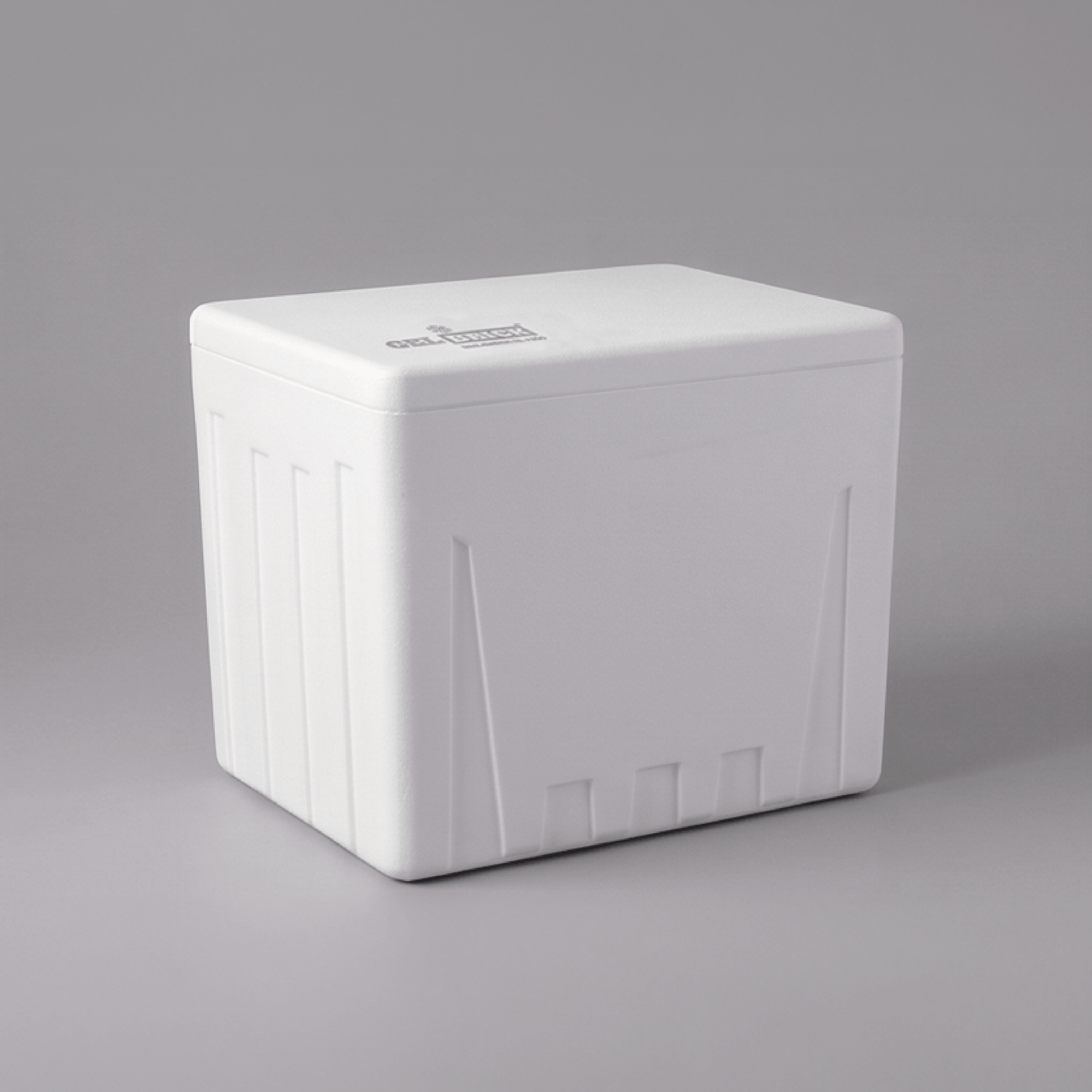 Caja térmica hielera Gelbrick 30L
