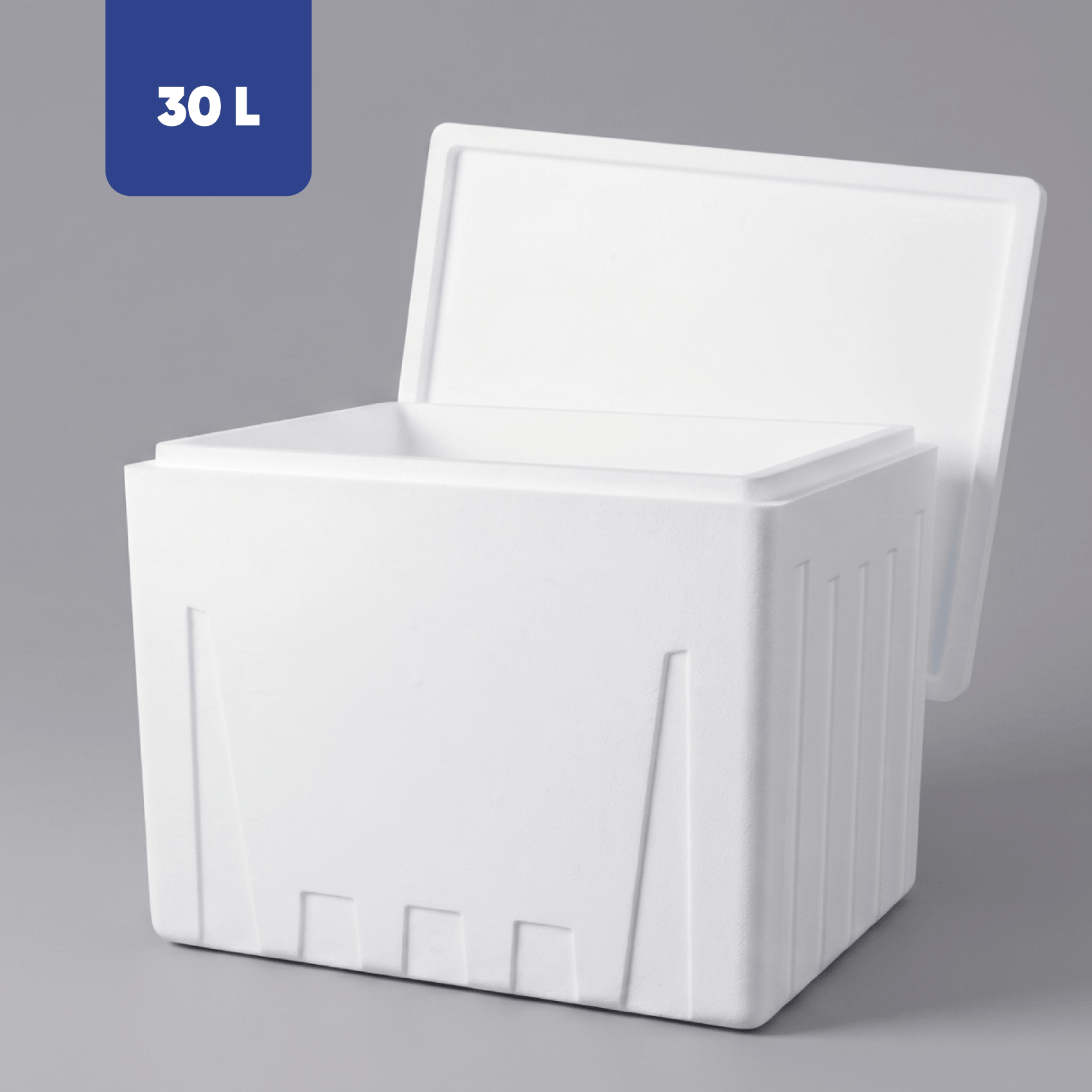 Caja térmica Hielera Gelbrick 30 litros