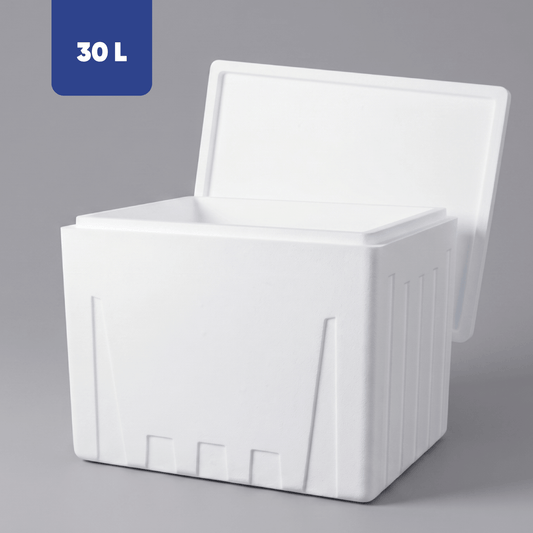 Caja térmica Hielera Gelbrick 30 litros
