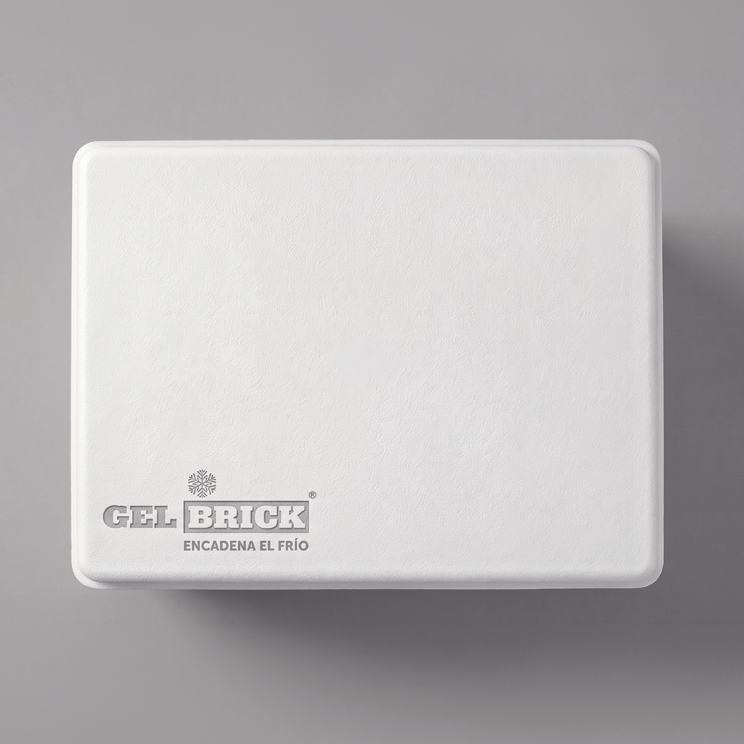 Caja térmica hielera 30 litros Gelbrick