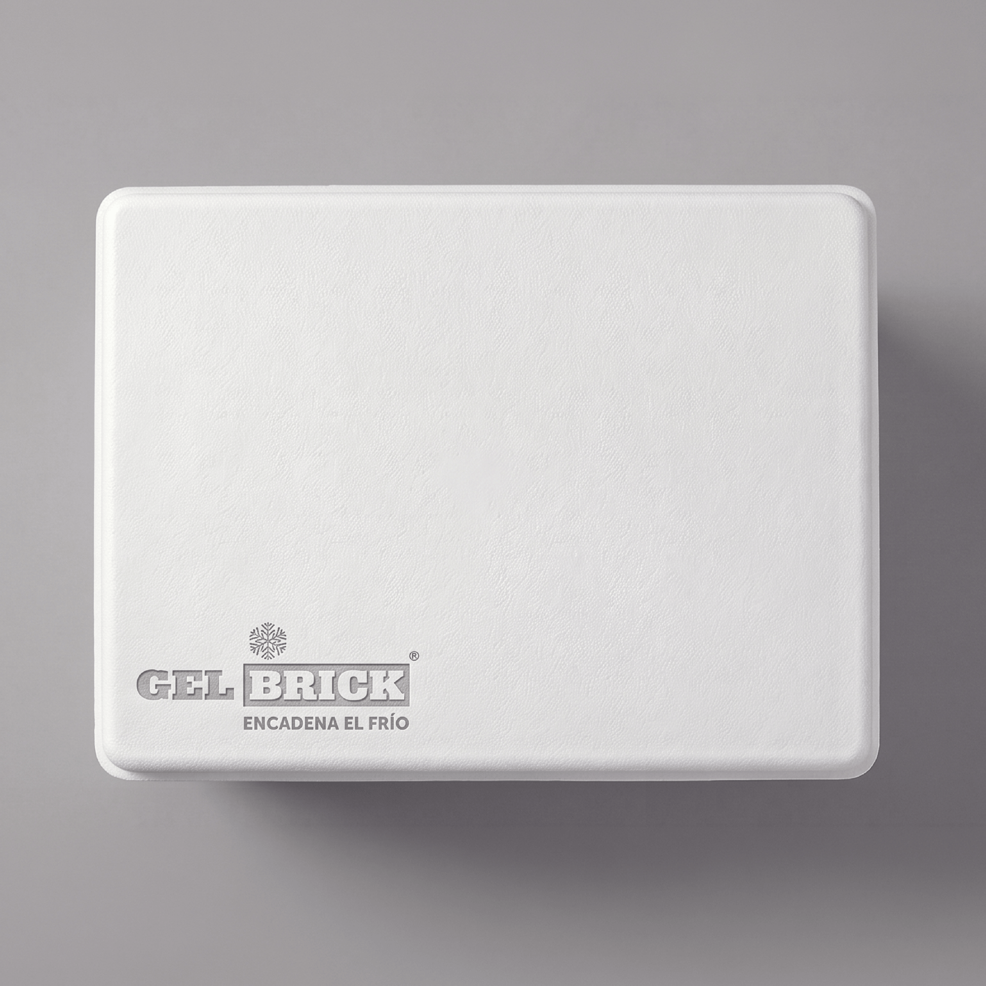 Caja térmica hielera 30 litros Gelbrick