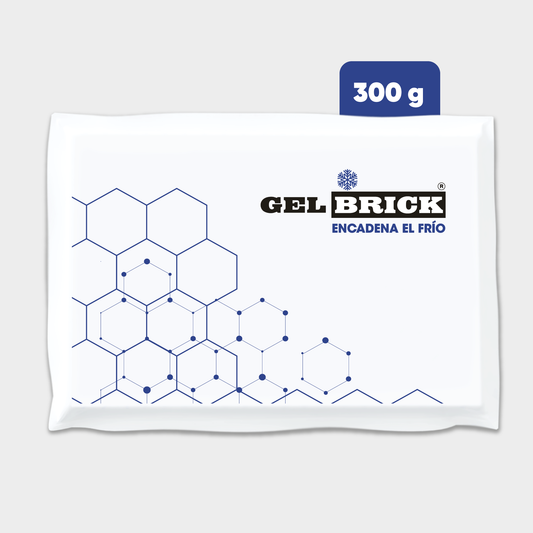 Placa termica Gelbrick 300 g