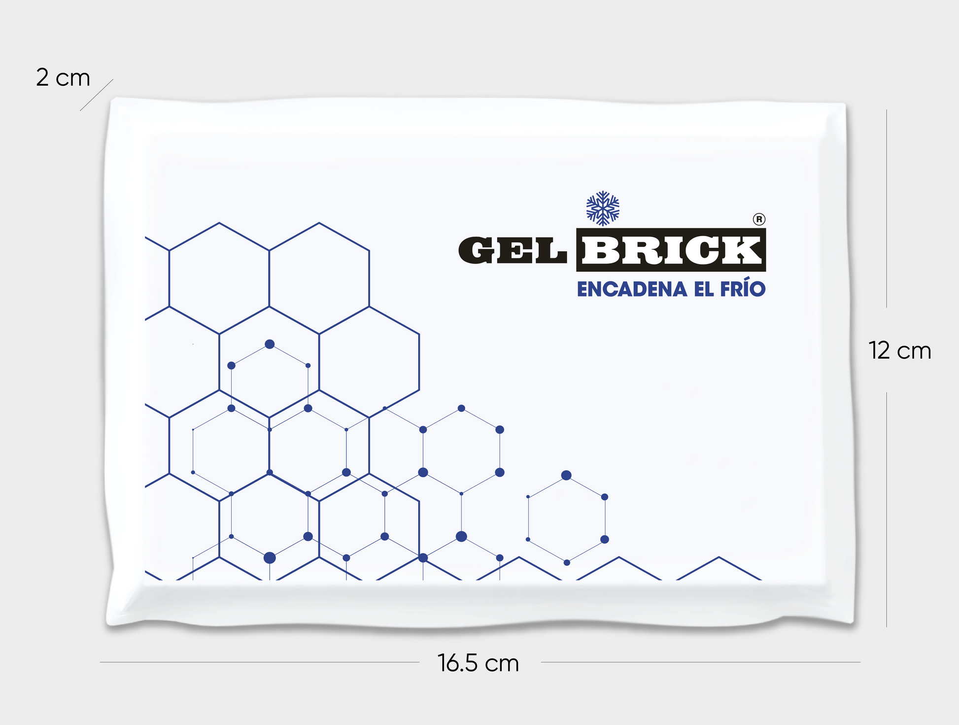 placa gel refrigerante cadena de frio Gelbrick 350g